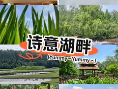 -溱湖国家湿地公园