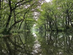 -西溪南古村落