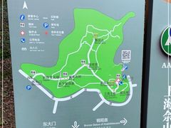 -上海佘山国家森林公园天马山园