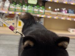 -宠颐生美多格动物医院骨科·影像科新北转诊中心(汉江路店)