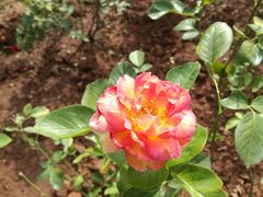 -人民公园(罗湖区)