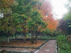 -黑龙江省森林植物园
