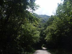 -青峰峡国家森林公园