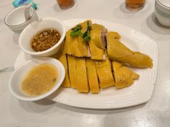 -强记湛江鸡饭店·二十七年老字号(拱北店)