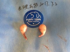 -芭比堂动物医院·犬猫全科·异宠专科(雁塔分院)