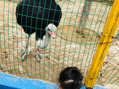 -武汉紫薇都市田园