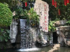 -广州市流溪河国家森林公园