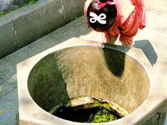 -凤凰御元艺术基地