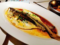 -维园悦谱·海派家常菜(乌鲁木齐南路店)