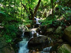 -九如山休闲旅游度假区