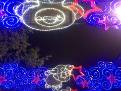 -锦江乐园舞狸花花游园会(夜场专享)