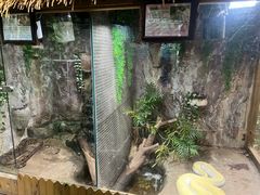 -上海大自然野生昆虫馆(东方明珠·爬宠昆虫探索中心)