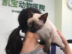 -悦宠凯宝动物医院·牙科·皮肤科(朝阳北路店)