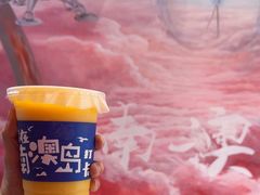 -南澳岛打卡果汁冰公司