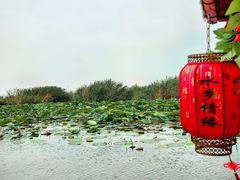 -白洋淀风景区