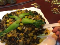 大汗行宫园林餐厅-大汗行宫园林餐厅