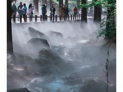 -国家植物园