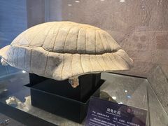 -中华赏石园