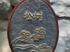 -香山公园
