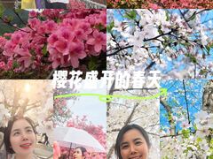 -木兰云雾山