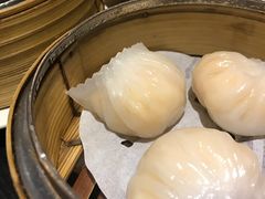 虾饺-糖朝(尖沙咀店)