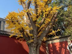 -西安市广仁寺
