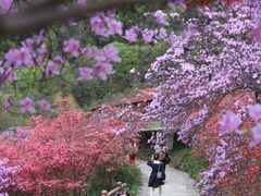 -岳西天峡风景区