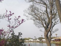-苏州太湖国家湿地公园