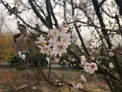 -云幽谷旅游区
