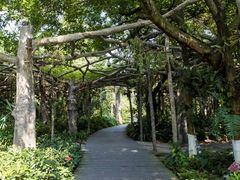 -广西壮族自治区药用植物园