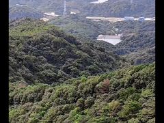 -黄埔油麻山森林公园