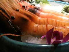 -蟹将军·松叶蟹和牛日料放题自助(K11店)