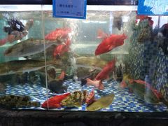 水产区-寻味顺德·珍之宝酒楼(银钻店)