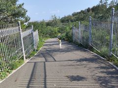 -大青山野生动物园