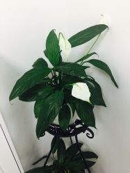 -理肤印象·个人皮肤管理中心