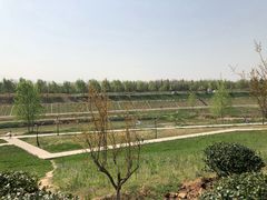 -洨河生态公园
