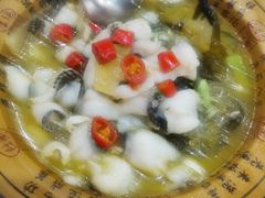 -邵年鸽(杨庄店)