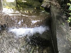 -浙江宾馆·花园餐厅·自助餐厅·茶吧