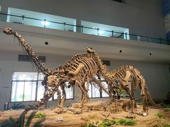 -自贡恐龙博物馆