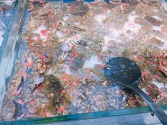 -川骄海鲜自助(河东店)