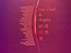 -上海当代艺术博物馆