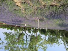 iphone_upload_pic-永定河休闲森林公园