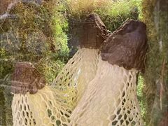 -芸山季·云南山珍菌火锅(宝能环球汇店)