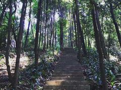 -广州市帽峰山景区