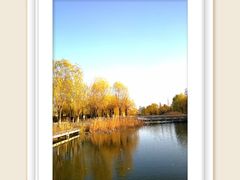 -中关村生命科学园