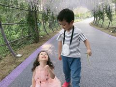 -大塘金香草谷