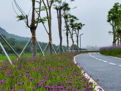 -风云岭森林公园