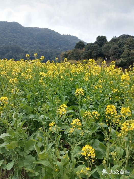 广州市石门国家森林公园图片