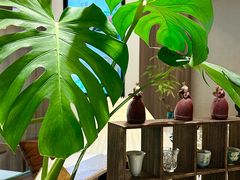 -小西家作(富力爱丁堡店)