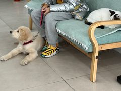 -佳雯宠物医院·皮肤科·内外科(春晓路分院)